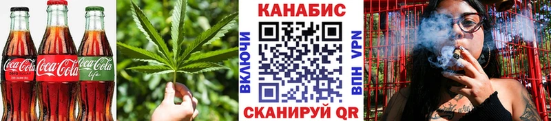 MEGA маркетплейс Грязовец Cannafood конопля