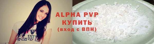 шишки Слюдянка